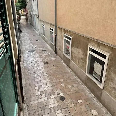 Attila * Ζαντάρ